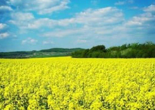 Kyiv 2015 Slide Show