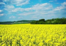 Trip Report March 2016